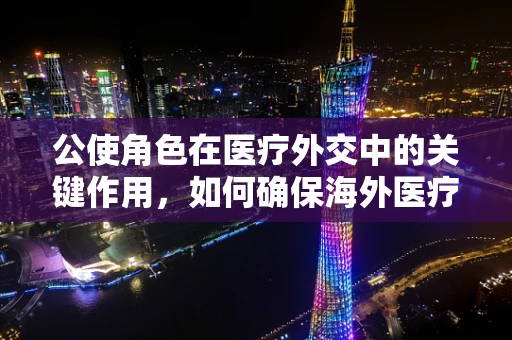 公使角色在医疗外交中的关键作用，如何确保海外医疗援助的顺畅与高效？