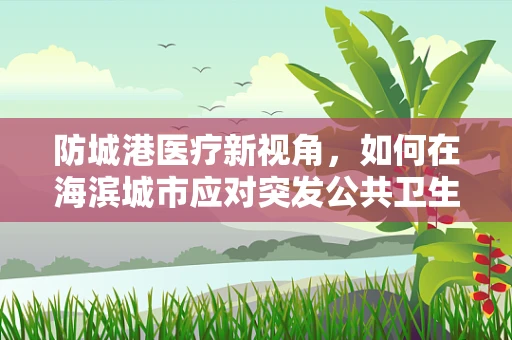 防城港医疗新视角，如何在海滨城市应对突发公共卫生事件的挑战？
