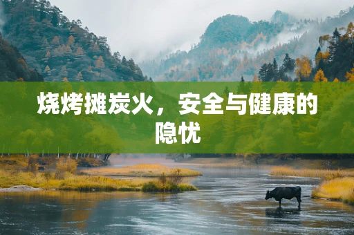 烧烤摊炭火，安全与健康的隐忧