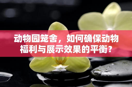 动物园笼舍，如何确保动物福利与展示效果的平衡？