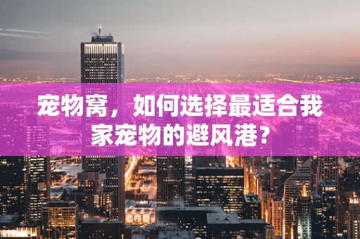 宠物窝，如何选择最适合我家宠物的避风港？