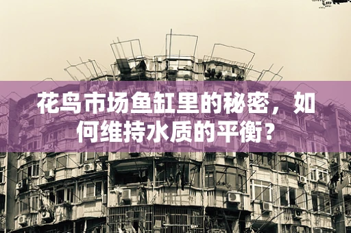 花鸟市场鱼缸里的秘密，如何维持水质的平衡？