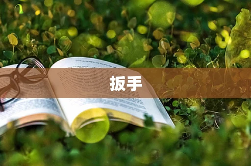 扳手