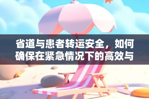省道与患者转运安全，如何确保在紧急情况下的高效与安全？