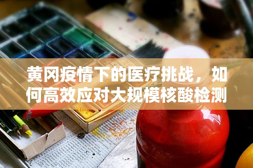 黄冈疫情下的医疗挑战，如何高效应对大规模核酸检测需求？