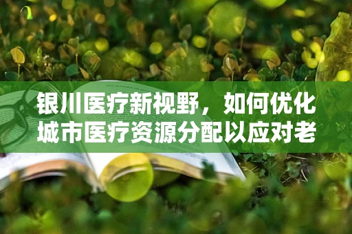 银川医疗新视野，如何优化城市医疗资源分配以应对老龄化挑战？