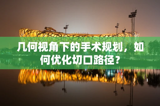 几何视角下的手术规划，如何优化切口路径？