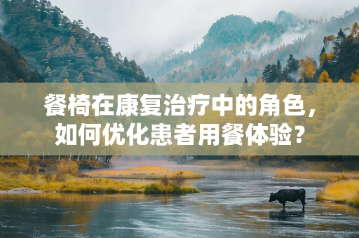 餐椅在康复治疗中的角色，如何优化患者用餐体验？