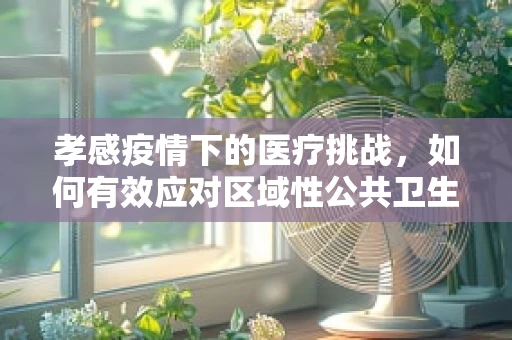 孝感疫情下的医疗挑战，如何有效应对区域性公共卫生事件？
