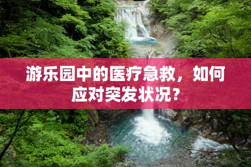 游乐园中的医疗急救，如何应对突发状况？