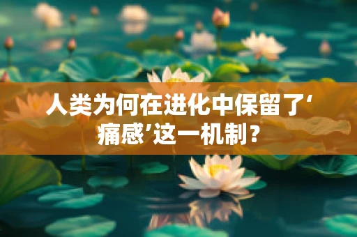 人类为何在进化中保留了‘痛感’这一机制？
