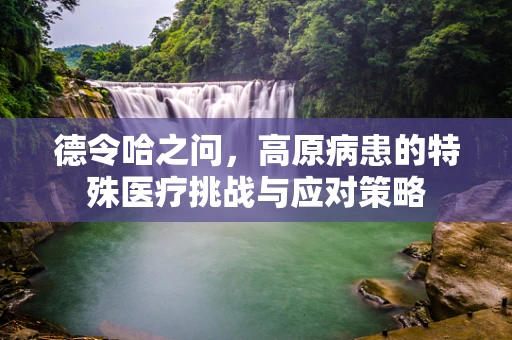 德令哈之问，高原病患的特殊医疗挑战与应对策略