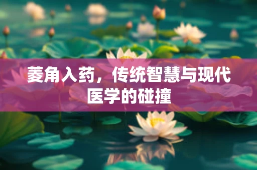 菱角入药，传统智慧与现代医学的碰撞