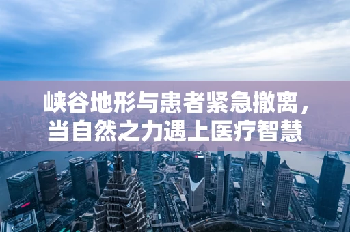 峡谷地形与患者紧急撤离，当自然之力遇上医疗智慧