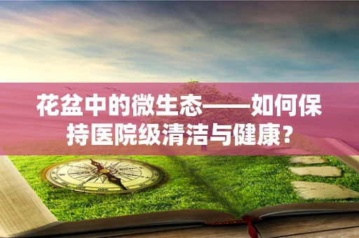 花盆中的微生态——如何保持医院级清洁与健康？