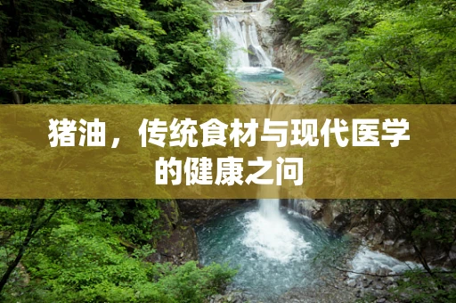 猪油，传统食材与现代医学的健康之问