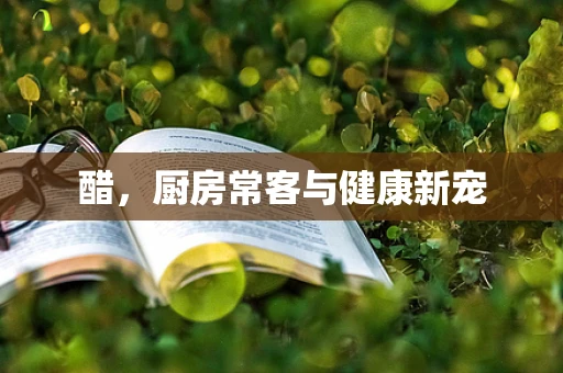 醋，厨房常客与健康新宠