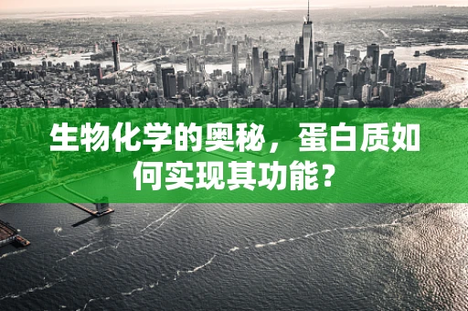 生物化学的奥秘，蛋白质如何实现其功能？