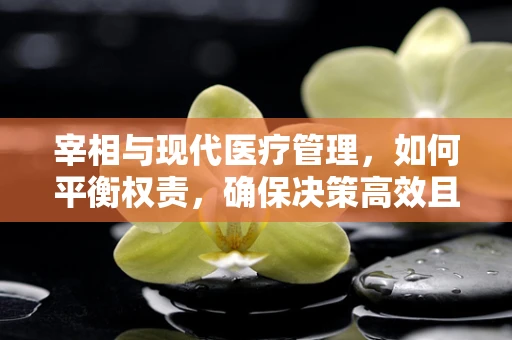 宰相与现代医疗管理，如何平衡权责，确保决策高效且安全？