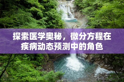 探索医学奥秘，微分方程在疾病动态预测中的角色