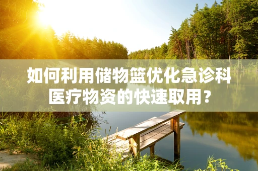 如何利用储物篮优化急诊科医疗物资的快速取用？