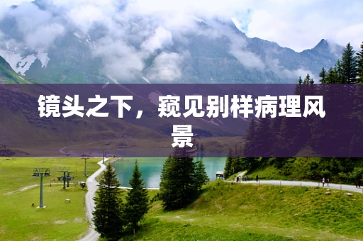 镜头之下，窥见别样病理风景