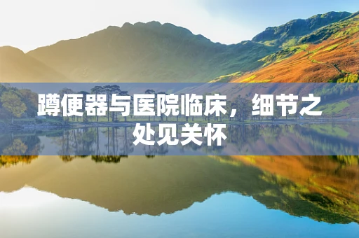 蹲便器与医院临床，细节之处见关怀