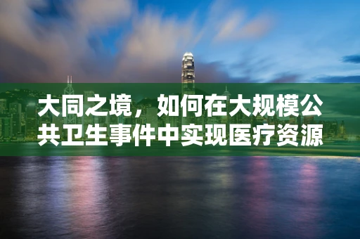 大同之境，如何在大规模公共卫生事件中实现医疗资源的均衡配置？