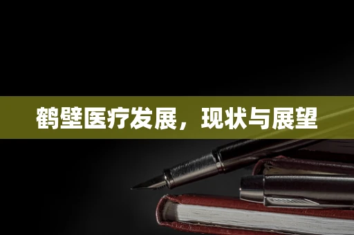 鹤壁医疗发展，现状与展望