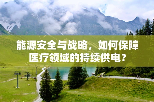 能源安全与战略，如何保障医疗领域的持续供电？