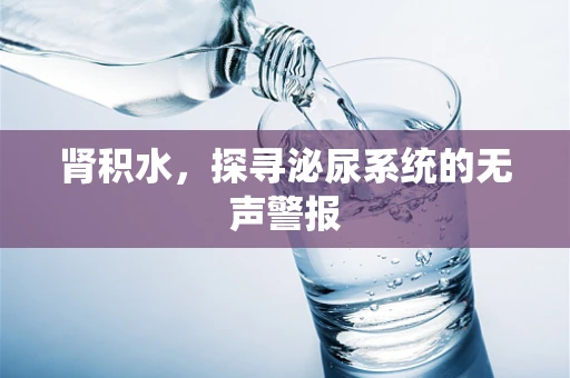 肾积水，探寻泌尿系统的无声警报