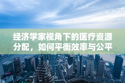 经济学家视角下的医疗资源分配，如何平衡效率与公平？