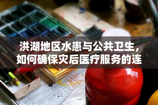 洪湖地区水患与公共卫生，如何确保灾后医疗服务的连续性？
