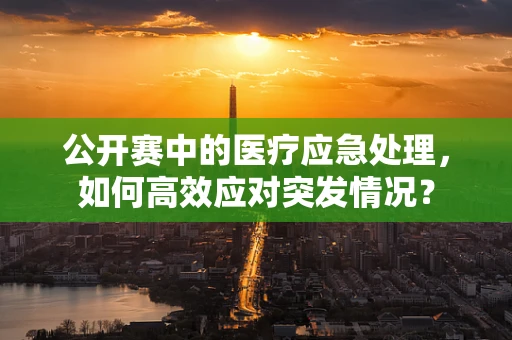 公开赛中的医疗应急处理，如何高效应对突发情况？