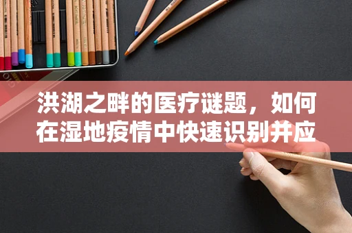 洪湖之畔的医疗谜题，如何在湿地疫情中快速识别并应对突发公共卫生事件？