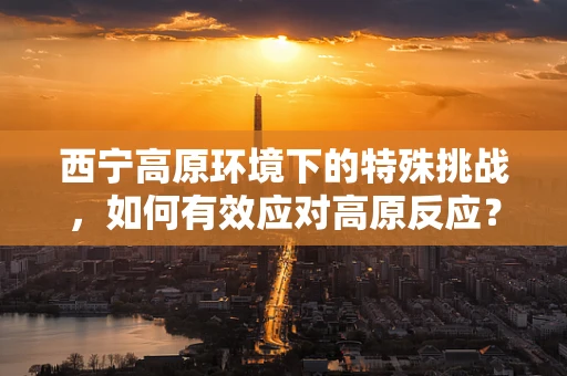 西宁高原环境下的特殊挑战，如何有效应对高原反应？