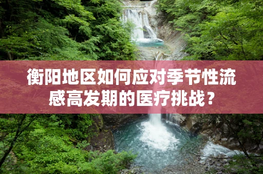 衡阳地区如何应对季节性流感高发期的医疗挑战？