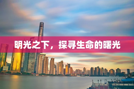 明光之下，探寻生命的曙光