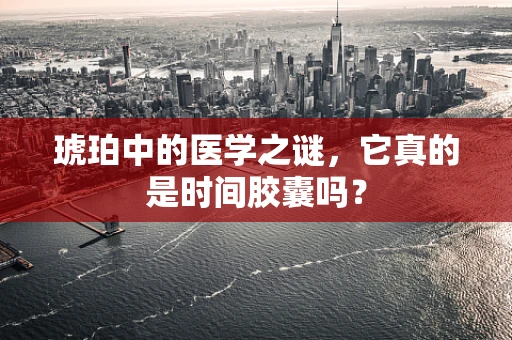 琥珀中的医学之谜，它真的是时间胶囊吗？