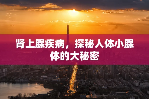 肾上腺疾病，探秘人体小腺体的大秘密