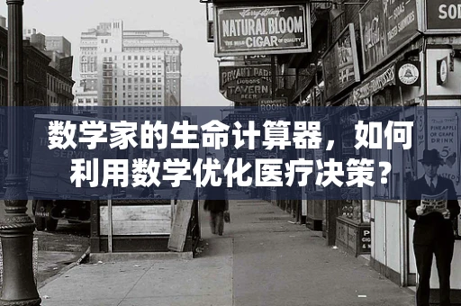 数学家的生命计算器，如何利用数学优化医疗决策？