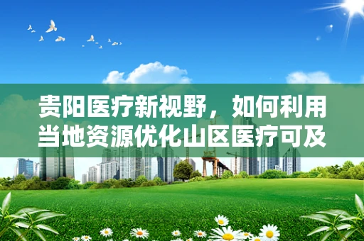 贵阳医疗新视野，如何利用当地资源优化山区医疗可及性？