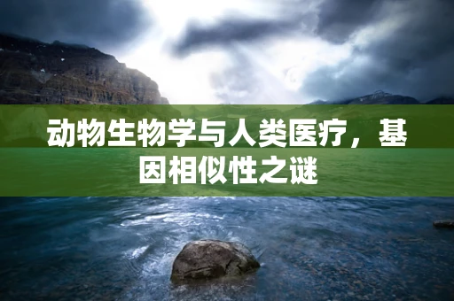 动物生物学与人类医疗，基因相似性之谜