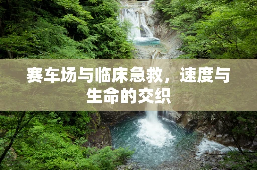 赛车场与临床急救，速度与生命的交织