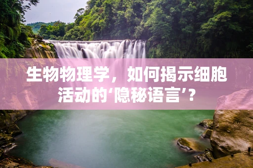 生物物理学，如何揭示细胞活动的‘隐秘语言’？