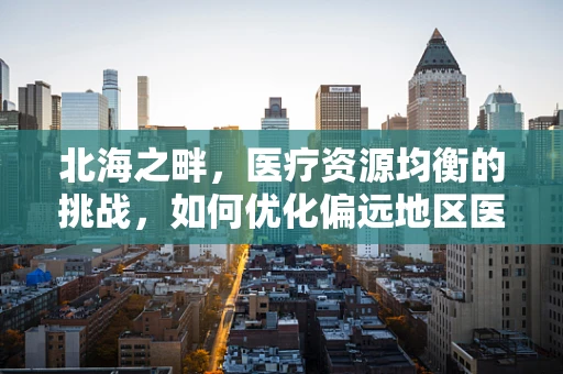 北海之畔，医疗资源均衡的挑战，如何优化偏远地区医疗服务？