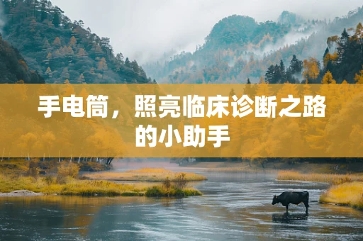手电筒，照亮临床诊断之路的小助手