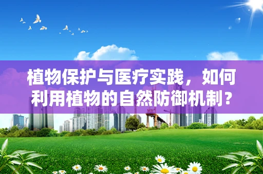 植物保护与医疗实践，如何利用植物的自然防御机制？