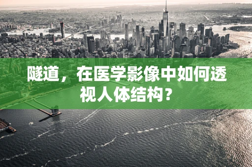 隧道，在医学影像中如何透视人体结构？