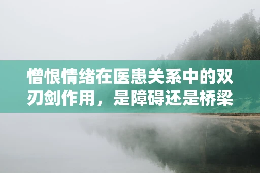 憎恨情绪在医患关系中的双刃剑作用，是障碍还是桥梁？